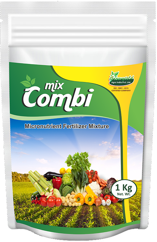 Combi