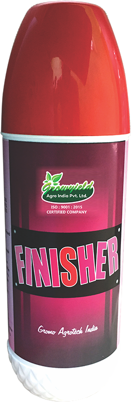 Finisher