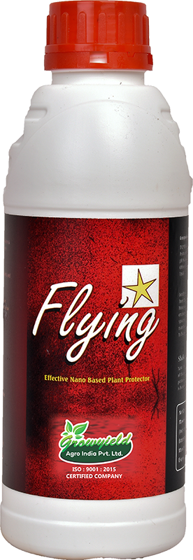 Flying Star