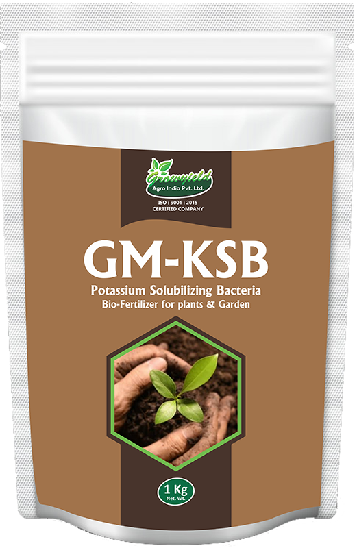 GM KSB