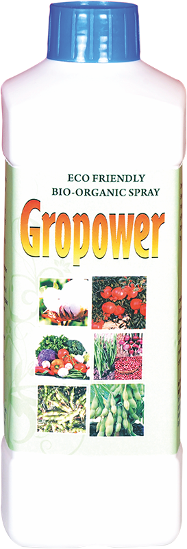 GROPOWER old