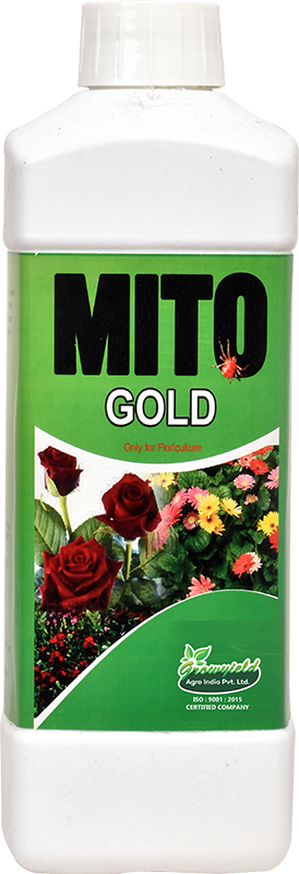 Mito Gold
