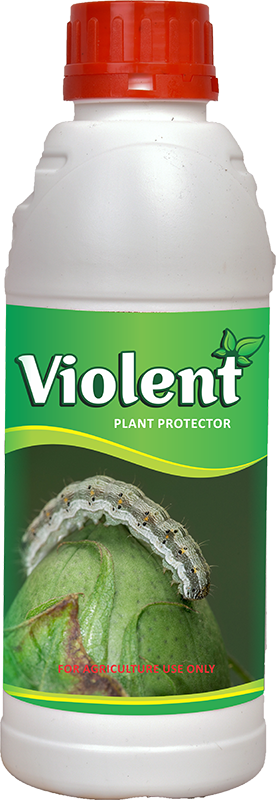 Violent