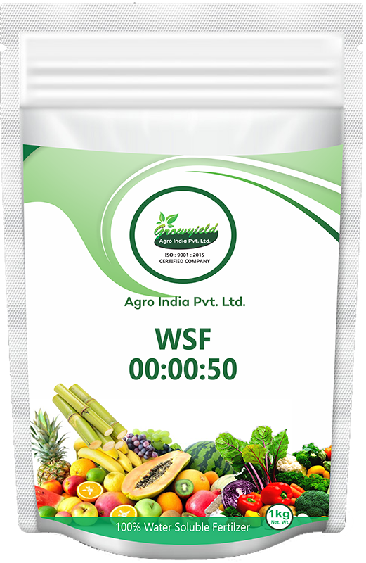 WSF 00 00 50