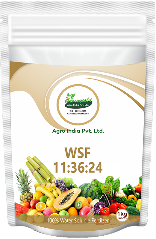 WSF 11 36 24