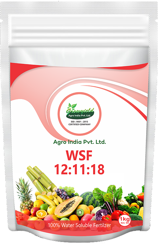 WSF 12 11 18