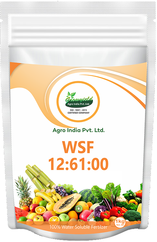 WSF 12 61 00