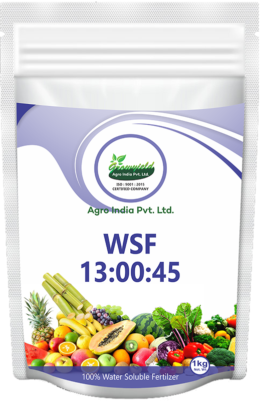 WSF 13 00 45