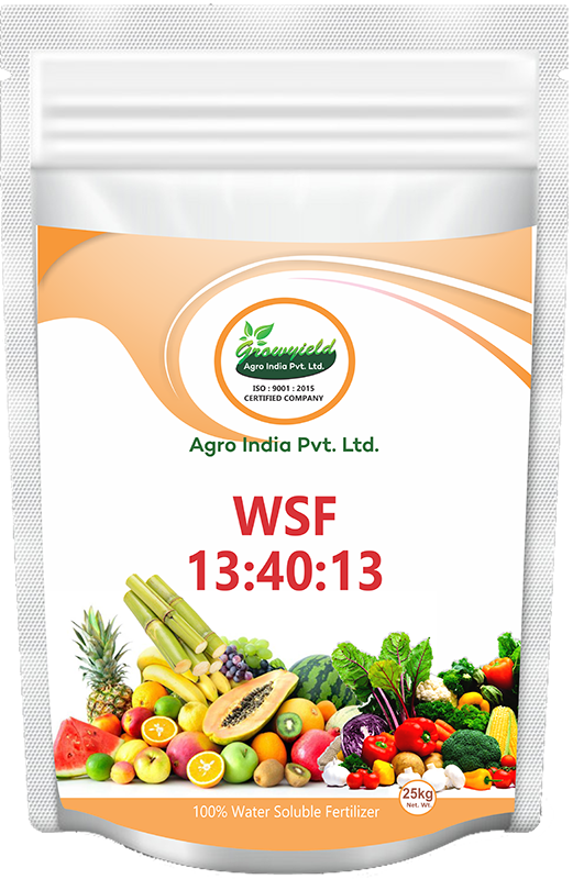 WSF 13 40 13