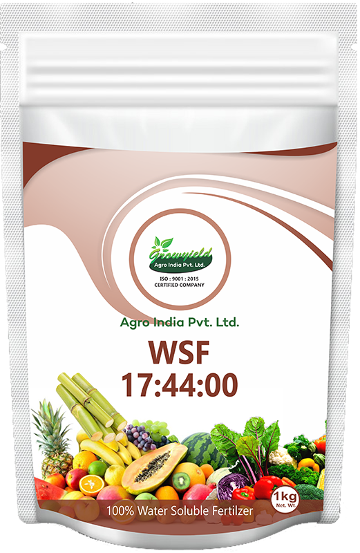 WSF 17 44 00