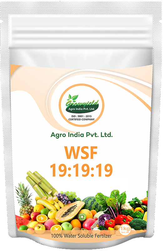WSF 19 19 19