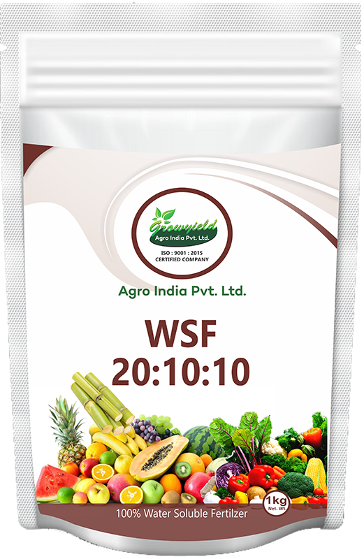 WSF 20 10 10