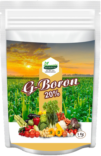 G Boron 20